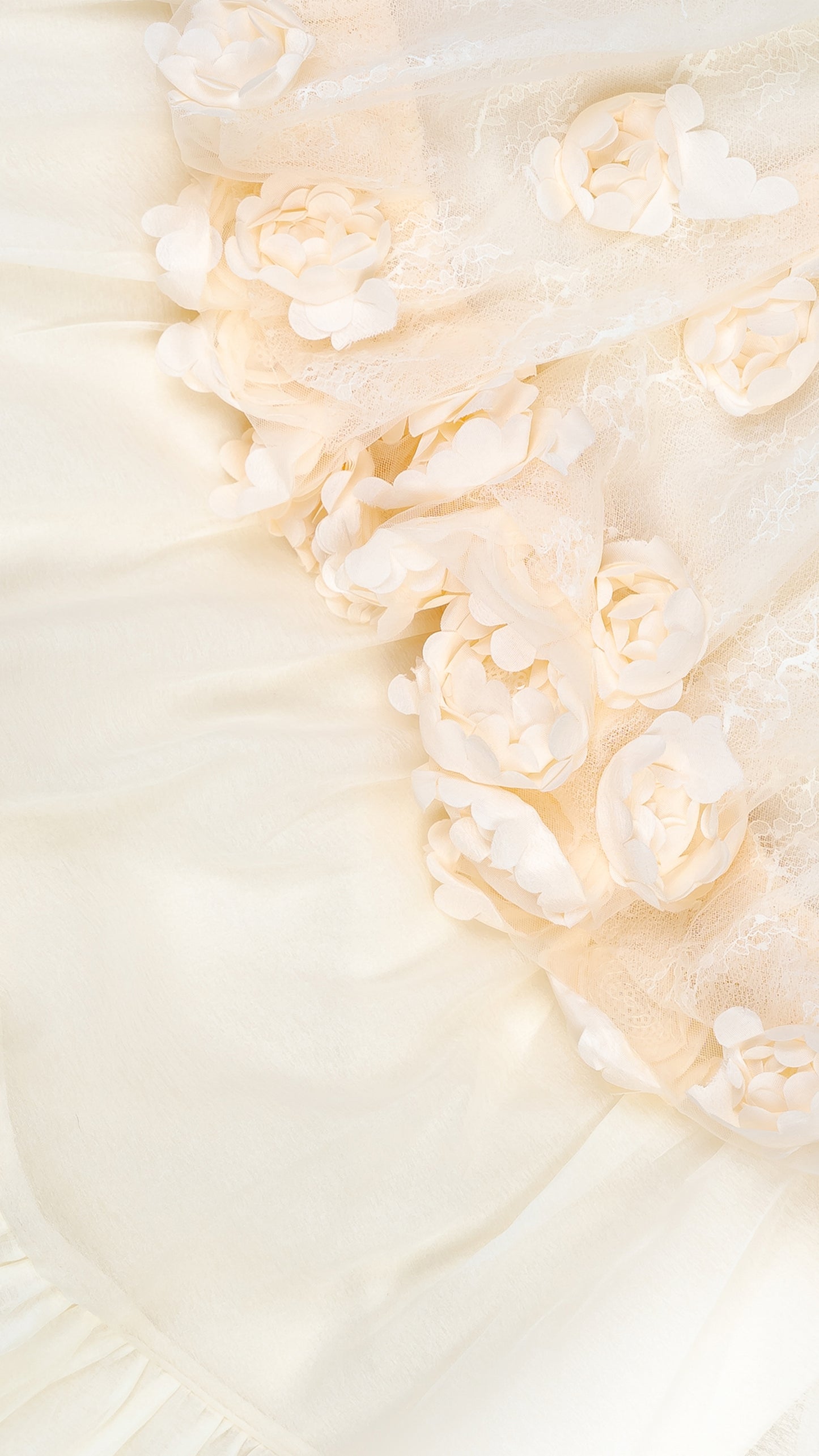 Floral Applique Balloon Layered Dress