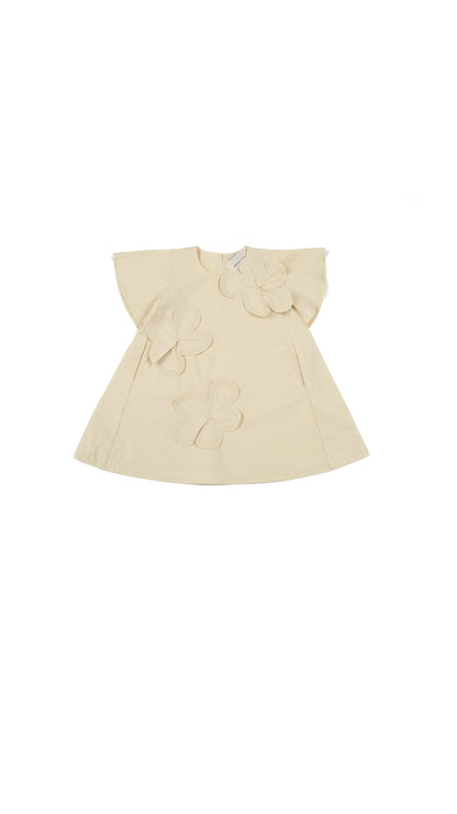 3D Floral Applique Trapeze Dress