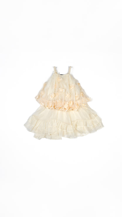 Floral Applique Balloon Layered Dress