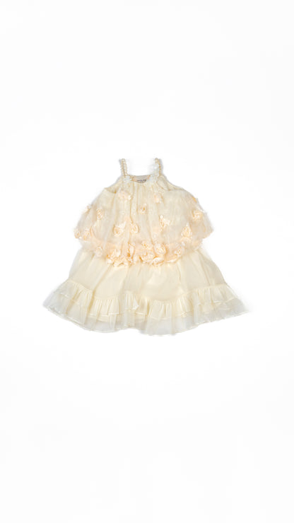 Floral Applique Balloon Layered Dress