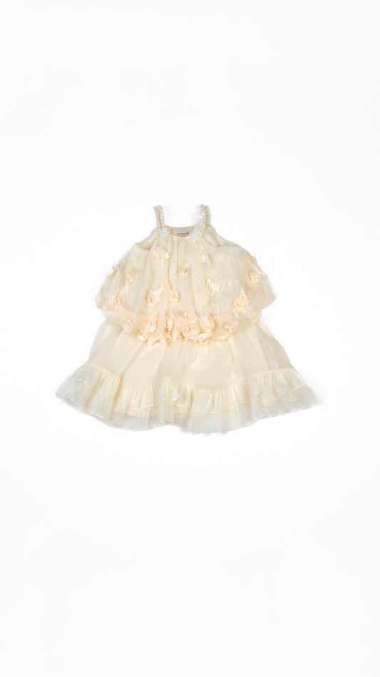 Floral Applique Balloon Layered Dress